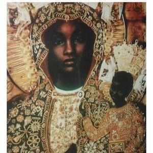 Meet your Posher, Elsie